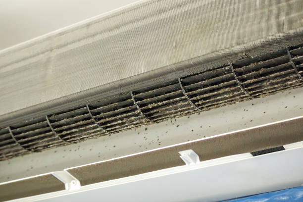 Best Commercial Air Duct Cleaning  in Greenwood, PA