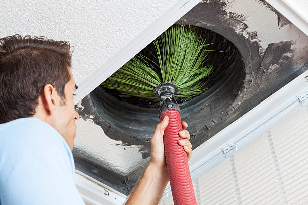 Best Emergency Air Duct Cleaning  in Greenwood, PA